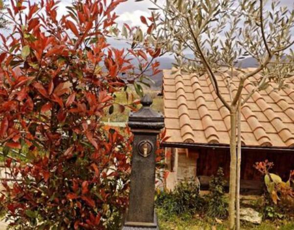 Il Podere Di Massi Барберино ди Мугело Екстериор снимка