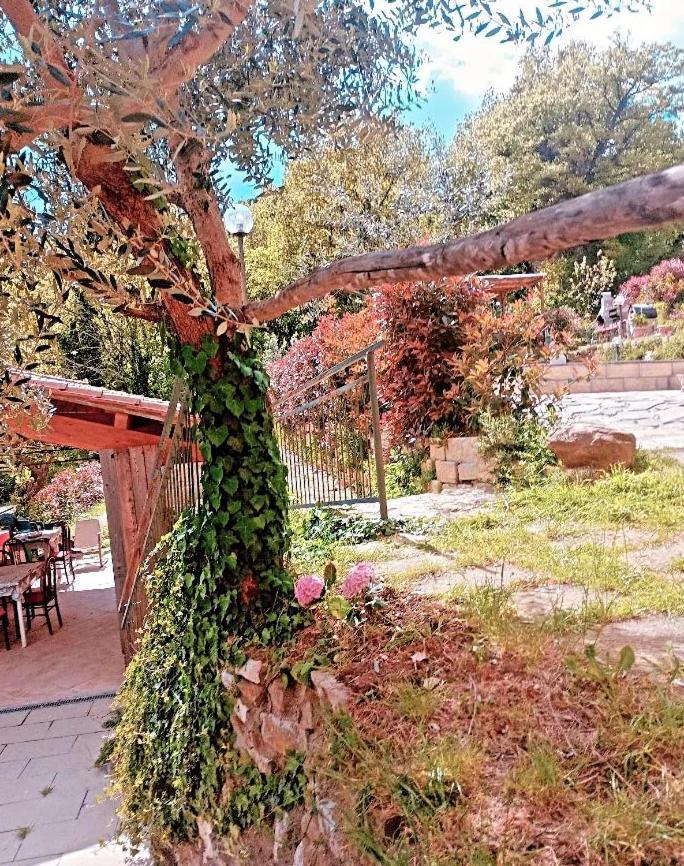 Il Podere Di Massi Барберино ди Мугело Екстериор снимка