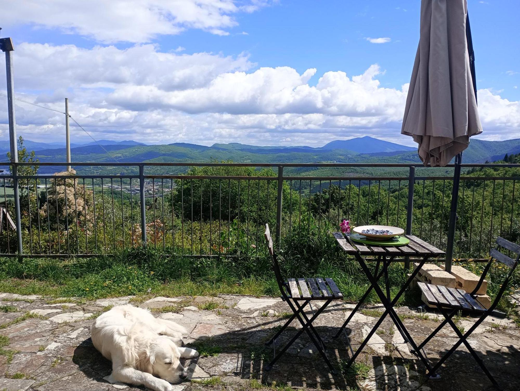 Il Podere Di Massi Барберино ди Мугело Стая снимка