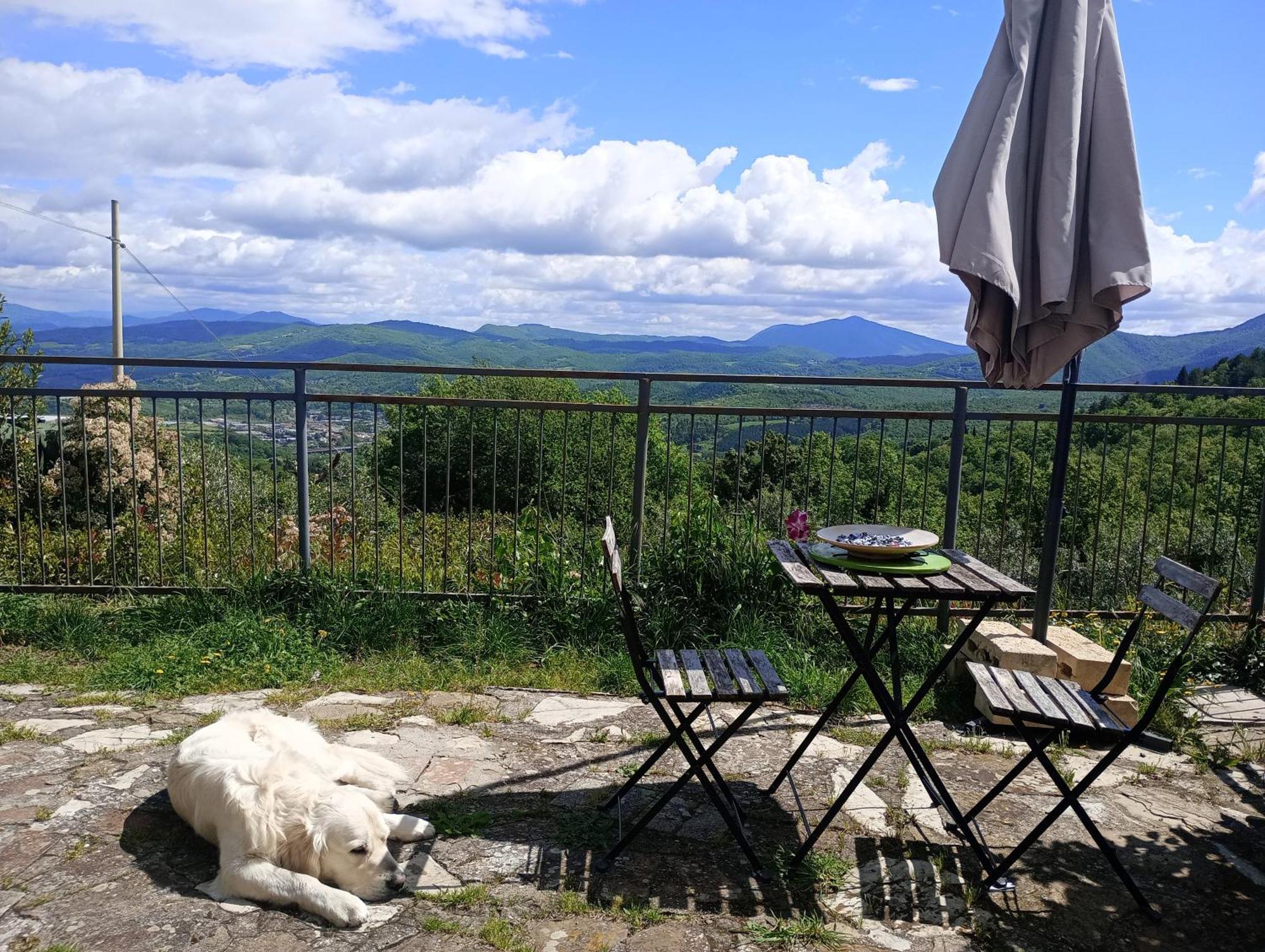 Il Podere Di Massi Барберино ди Мугело Екстериор снимка